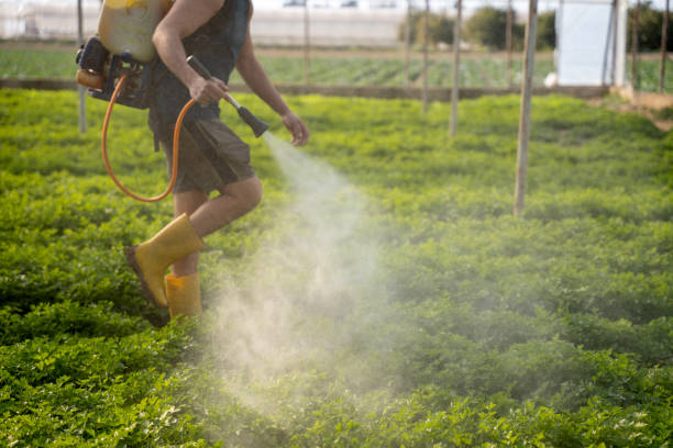 Professional Pest Control in Lake Andes, SD