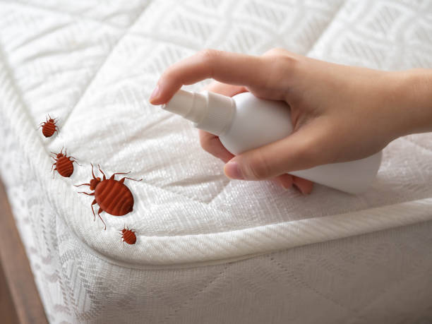 Best Pest Control Cost  in Lake Andes, SD