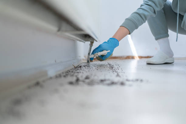 Best Pest Control for Restaurants  in Lake Andes, SD